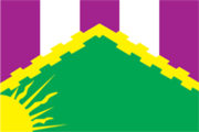 Флаг Новокосино